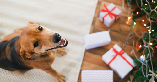 The Veterinary Industry Giving Tree: Reactions & Growth
